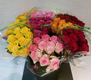 BQT 10 ROSES 50 cm GB unis